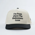 Texas Love ‘Bluebonnet’ Snapback image 1